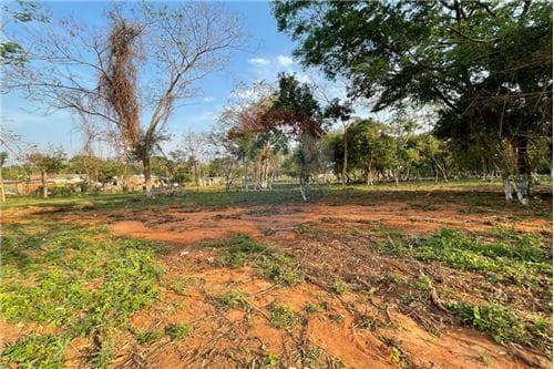 Terreno z/ Ruta Uruguay límite c/ Ñemby, foto 2