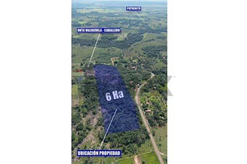 En venta terrerno en valenzuela 60,196 m2 — foto 4