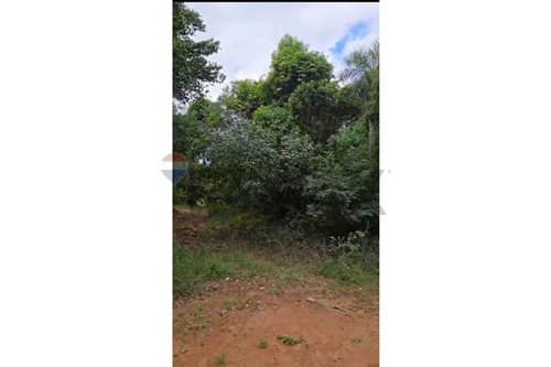 TERRENO EN VENTA- San Bernardino — foto 5