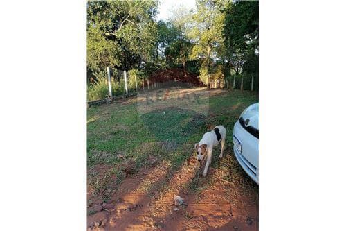hermoso terreno de 722m2-Aregua-Bo. Sam Jose, foto 4