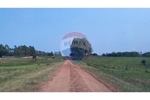 Campo en venta en Simón Bolívar — foto 3