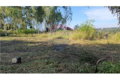 Excelente terreno.pdte franco.tres fronteras, foto 2