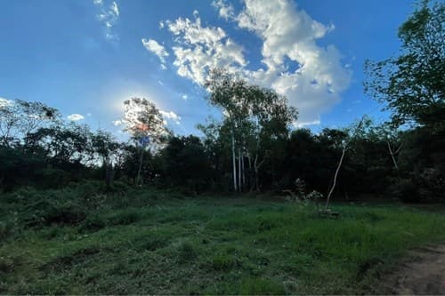 Terreno en san juan del parana — foto 3