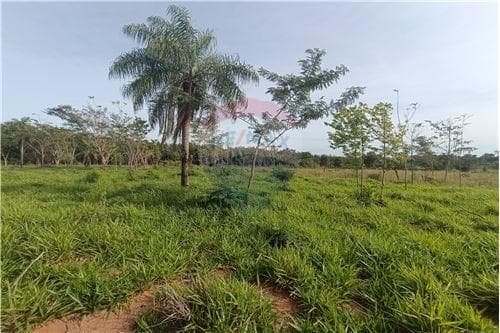 Campo de 8 hectáreas con arroyo en San Estanislao — foto 5