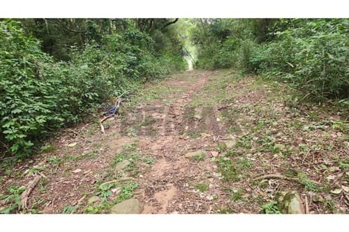 Terreno en ypacarai mbocajaty 2957 m2 — foto 4