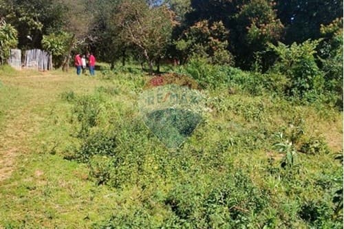 ¡Terreno Plano en Capiatá con Gran Potencial!, foto 3