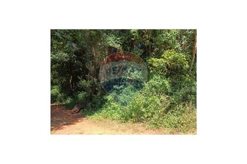 Lote cuotas capitan miranda 860.000 de 425m2