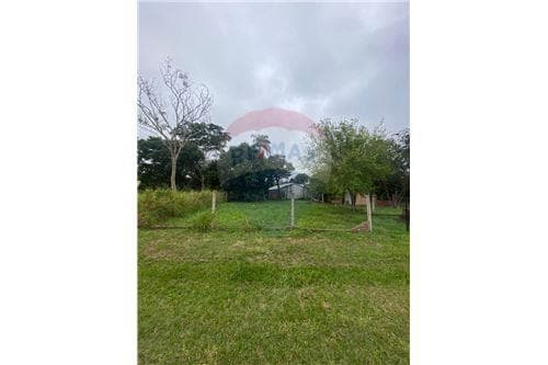 De terreno en san juan del parana — foto 3