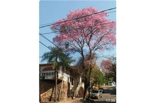 En Venta Terreno en esquina ideal para Edificio — foto 2