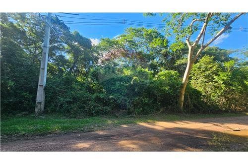 Terreno a 200mts del lago ypacarai — foto 3