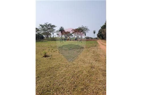 Terreno de 1 Hectárea — foto 4
