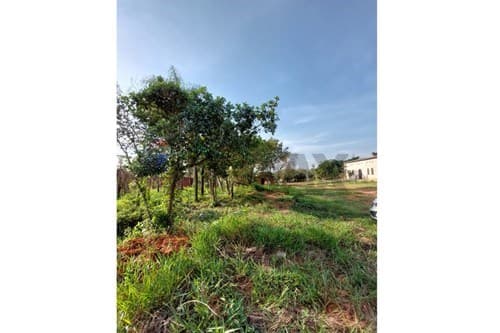 Vendo 3 terrenos en ypané