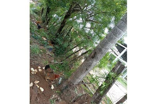 terreno en Belén, Concepción — foto 2