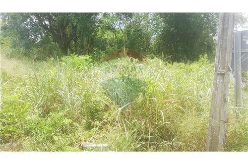 Terreno en venta 734 m2 - ruta 2 km 24-itagua — foto 4