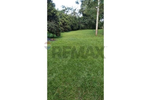 En venta 6 hectareas en itacurubi de la cordillera — foto 5