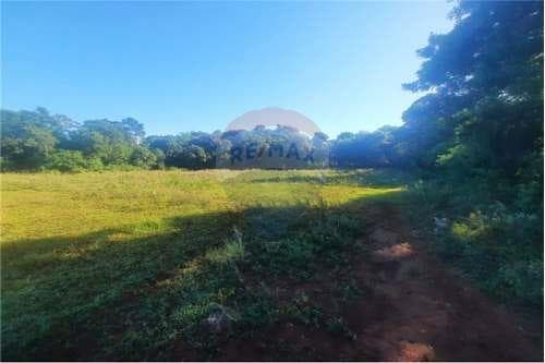 Campo de 3.8 hectareas en venta — foto 2