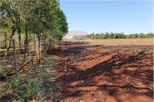161 hts. De campo, mecanizado, bosque y piquete — foto 2