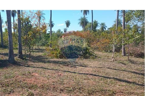 Terreno de tus sueños en loma grande — foto 2