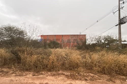 Terreno Comercial a titular en Filadelfia, foto 5