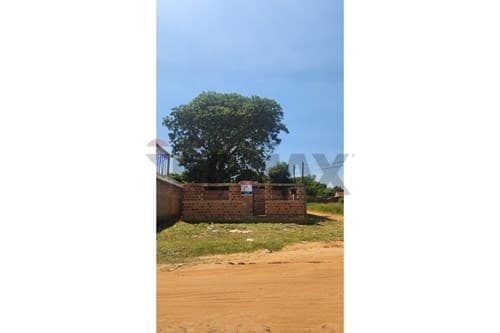Terreno en isla bogado - Luque — foto 5