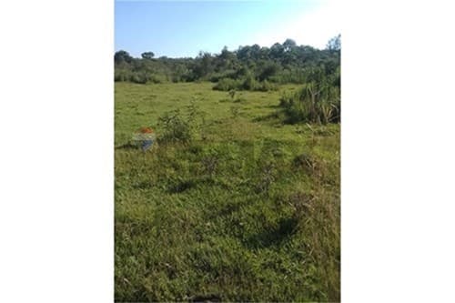 En venta 9 hectáreas en coronel bogado, foto 2