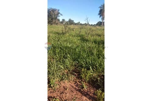 60 Hectareas de tierra!!! — foto 4