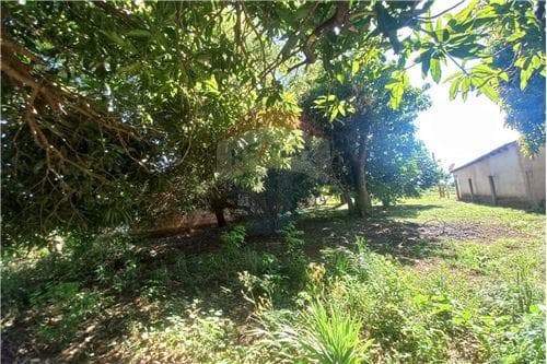 Terreno en san juan del parana, vista al rio, foto 2