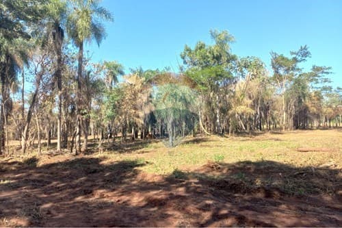 Terreno en Itauguá: 19,000 m² para Inversiones, foto 4