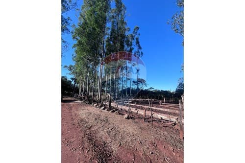 Terreno Minga Guazu - 3.000 metros de la ruta PY2 — foto 4