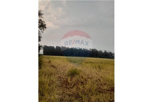 Terreno para inversion en venta - la paz - itapua — foto 3