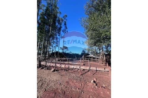 Terreno Minga Guazu - 3.000 metros de la ruta PY2 — foto 3