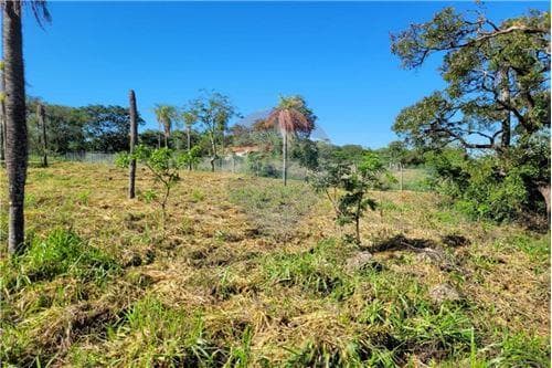 Terreno en emboscada gs. 55.000.000, foto 2