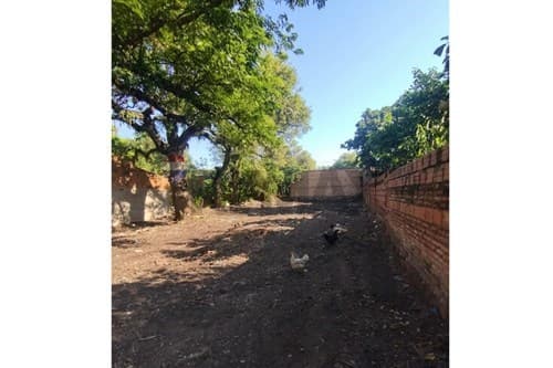Terreno en Primer Bo. Luque — foto 4