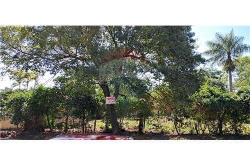 Terreno en itauguá barrio san juan — foto 4