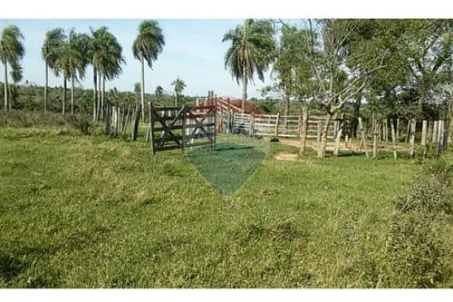 Inversión segura en tierra fértil, foto 4