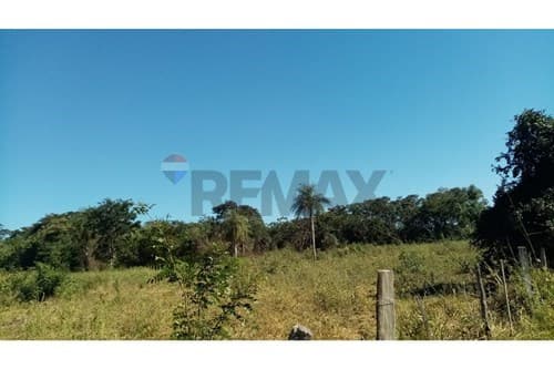 Oportunidad de inversión (3 Ha y 7.293 m²), foto 5