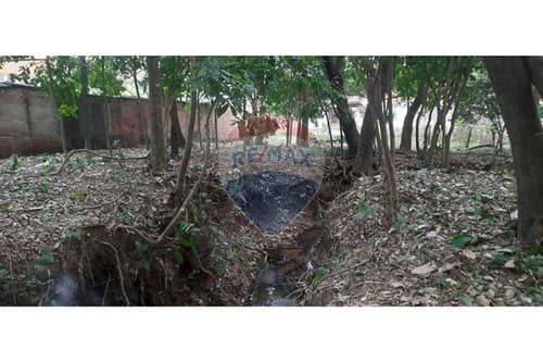 1440 m2 en San Bernardino z. Avda ciervo cua — foto 3