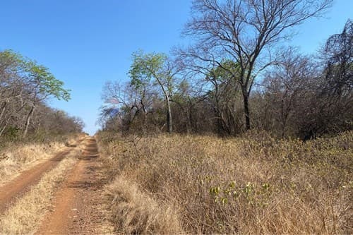 Campo en venta – 2.017 ha. en Bahía Negra — foto 5