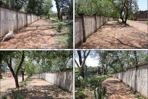 Inversión única de 3 HAS Lote Guazú, San Lorenzo, foto 4