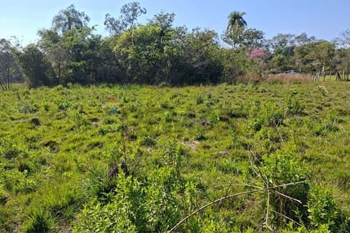 "Terreno Ideal en Caacupé: Invierte en tu Futuro", foto 2