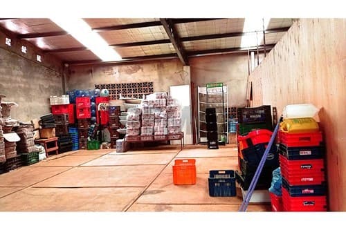 Propiedad comercial en km7 Ciudad Nueva — foto 4