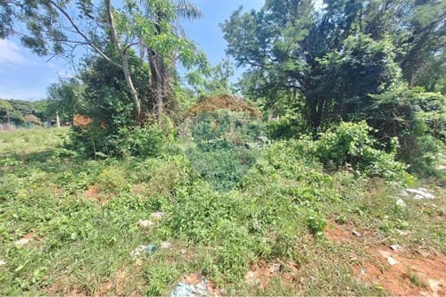 Terreno en aregua-villa rosita — foto 2