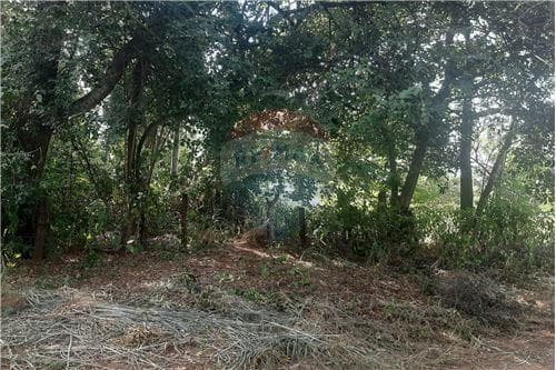 Terreno 1552 m2 en la ciudad de limpio isla aveiro, foto 3