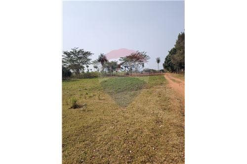Terreno de 1 Hectárea — foto 3