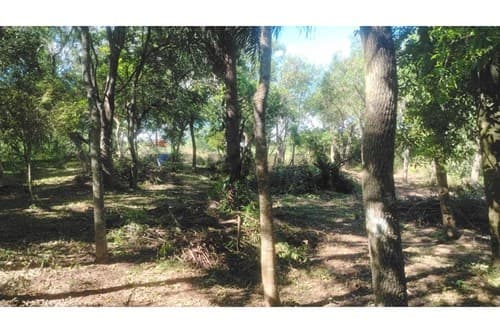 2 terrenos en loma grande - agua-y — foto 2