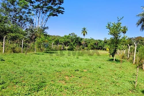 ¡Vendo amplia propiedad de 2.775 m2 en Yaguarón! — foto 3