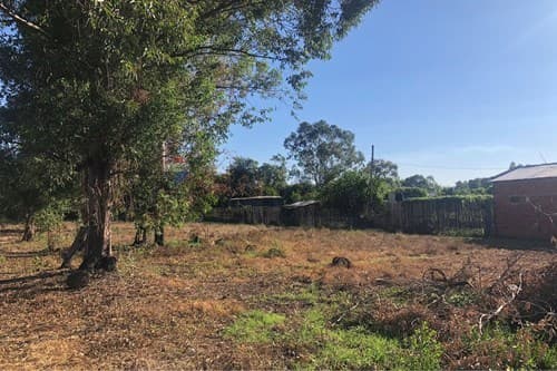terreno en el Chaco - Benjamín Aceval — foto 5