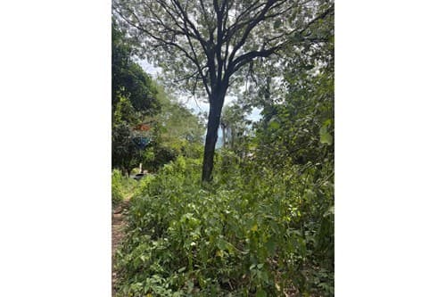 Oprtunidad de inversion terreno MRA — foto 3