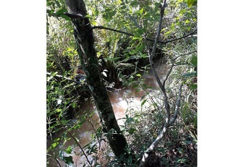 Ubicación estratégica: 11 ha con agua y bosque — foto 4
