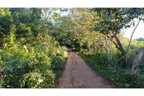 Terreno en la ciudad de arroyos y esteros — foto 3